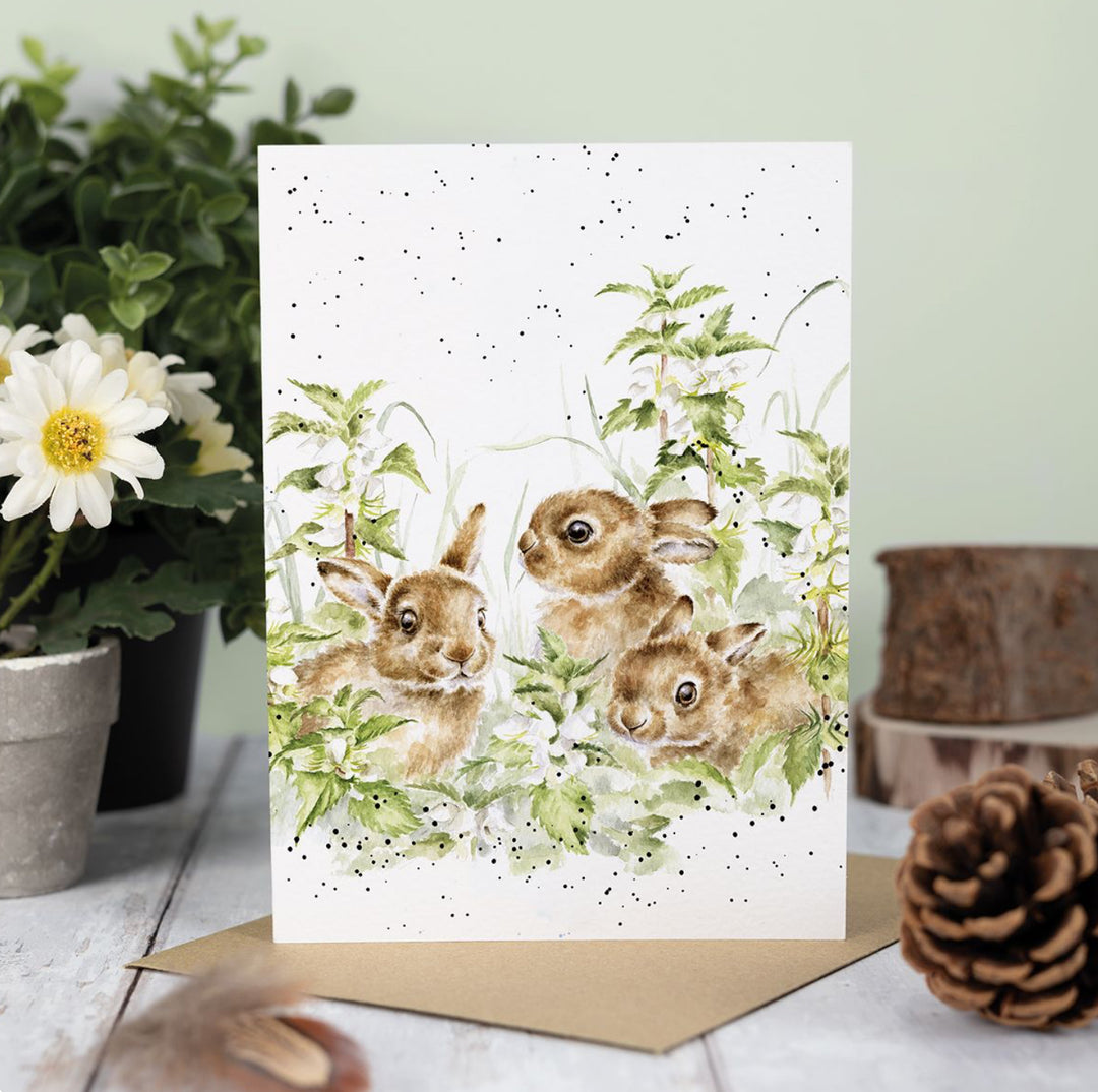 Greeting Cards - 5x7