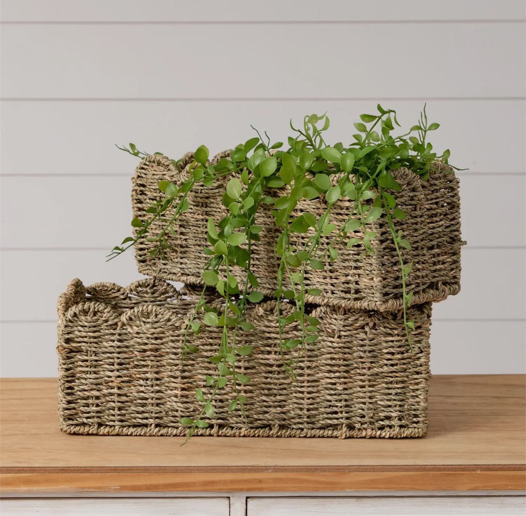 Scalloped Edge Seagrass Basket