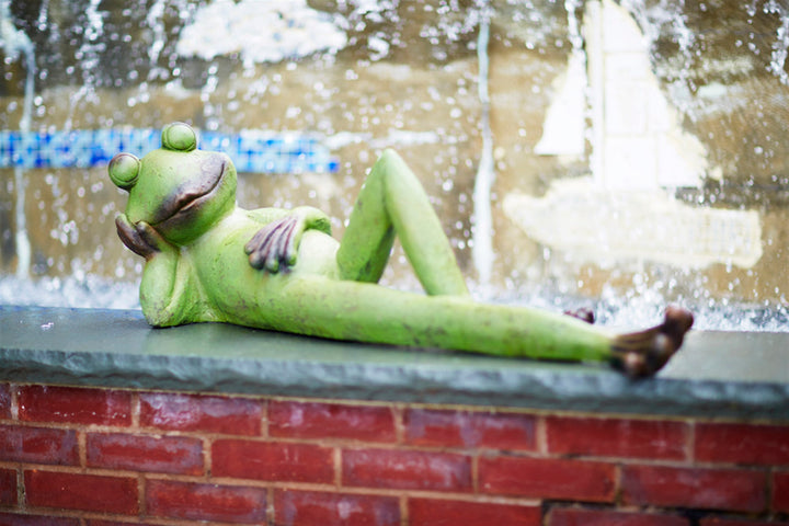 Lazy Day Garden Frog