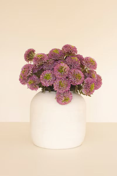 Dahlia Bunch – 18”