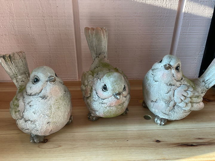 Neutral Garden Birds