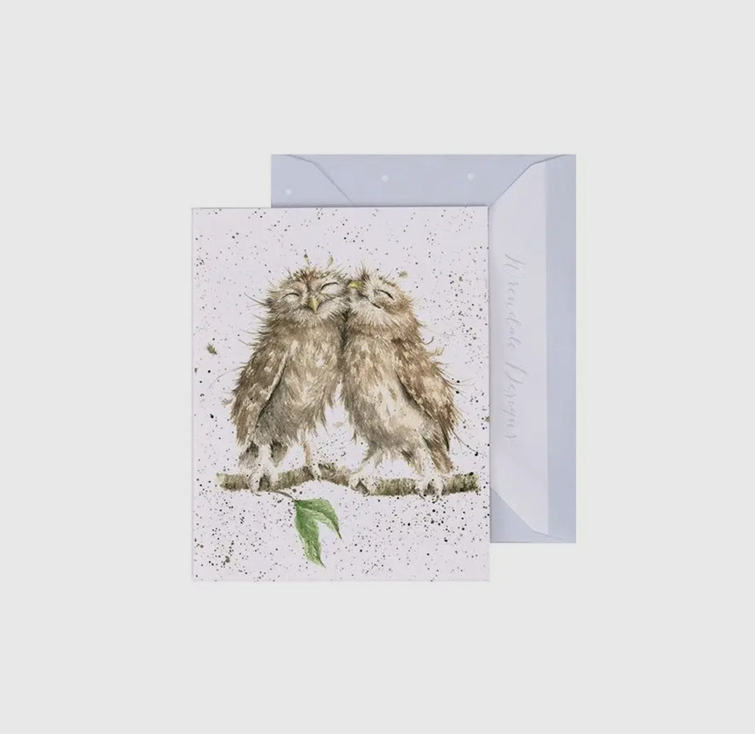 Mini Gift Enclosure Cards