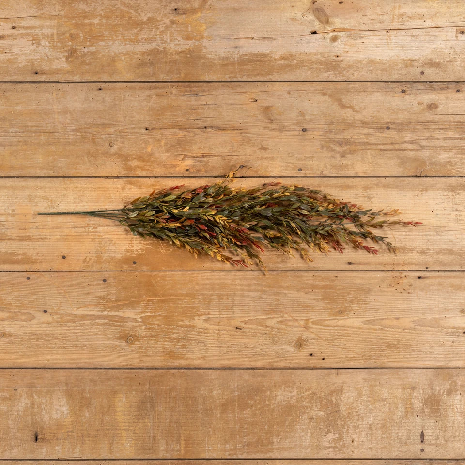 Autumn Boxwood Hanging Bush