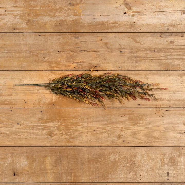 Autumn Boxwood Hanging Bush