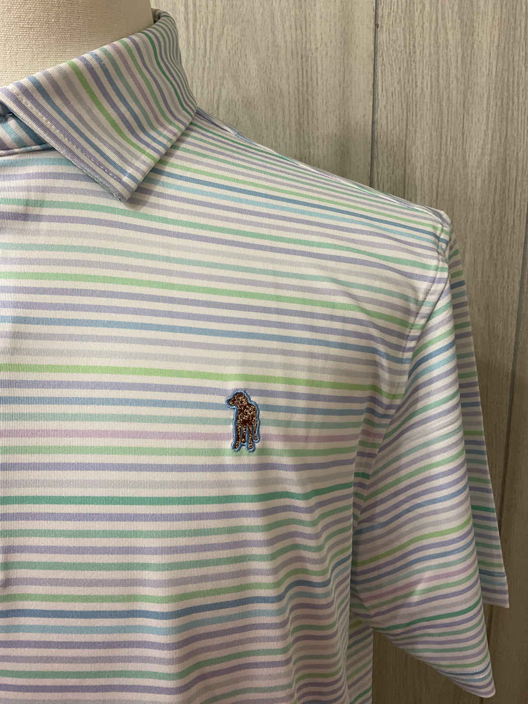 Lake Stripe Performance Polo