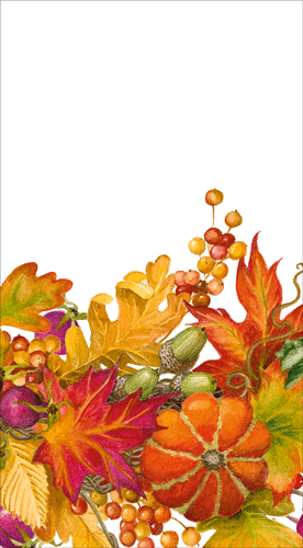 Caspari Autumn Abundance Napkins