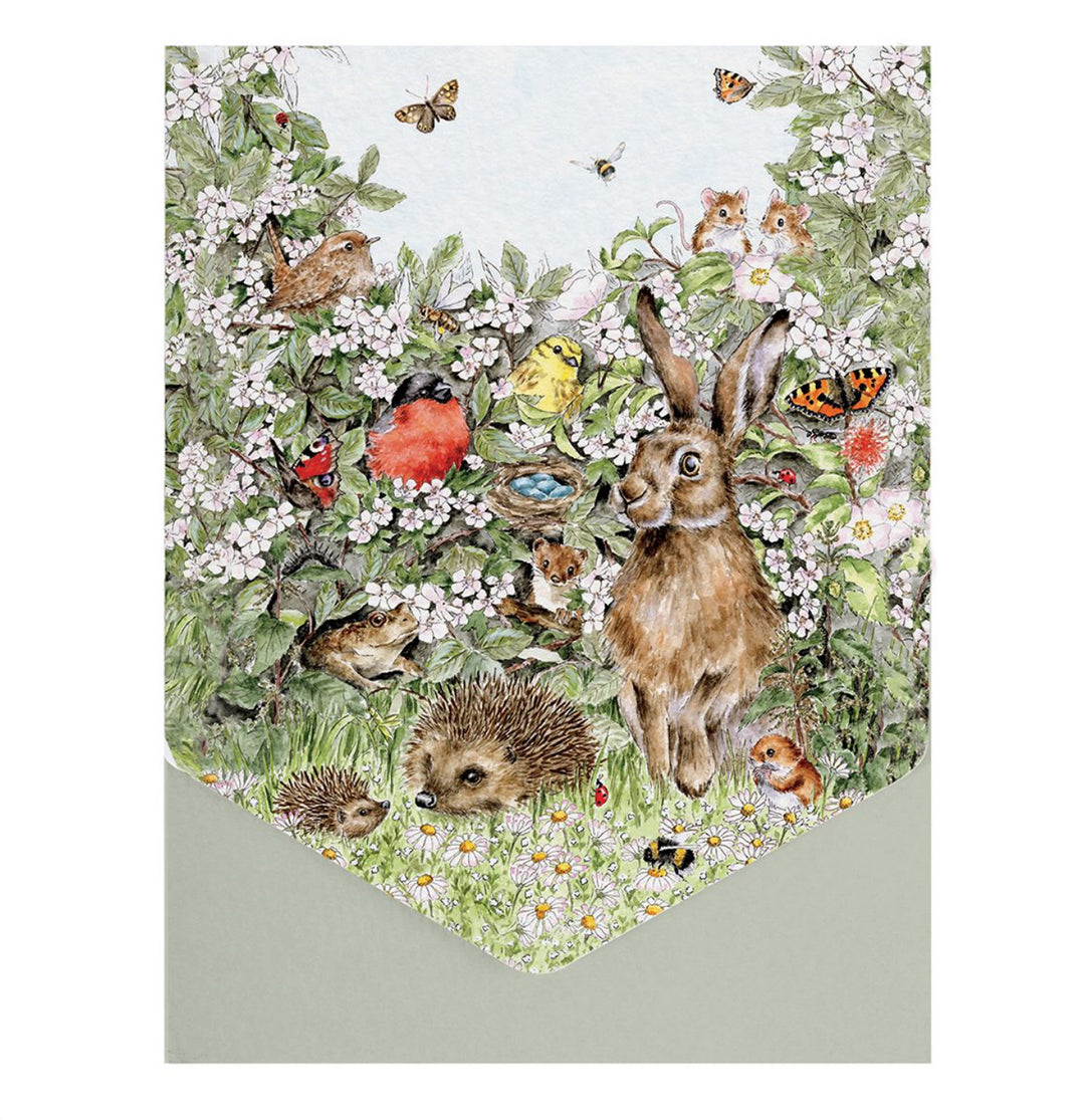 Boxed Greeting Cards