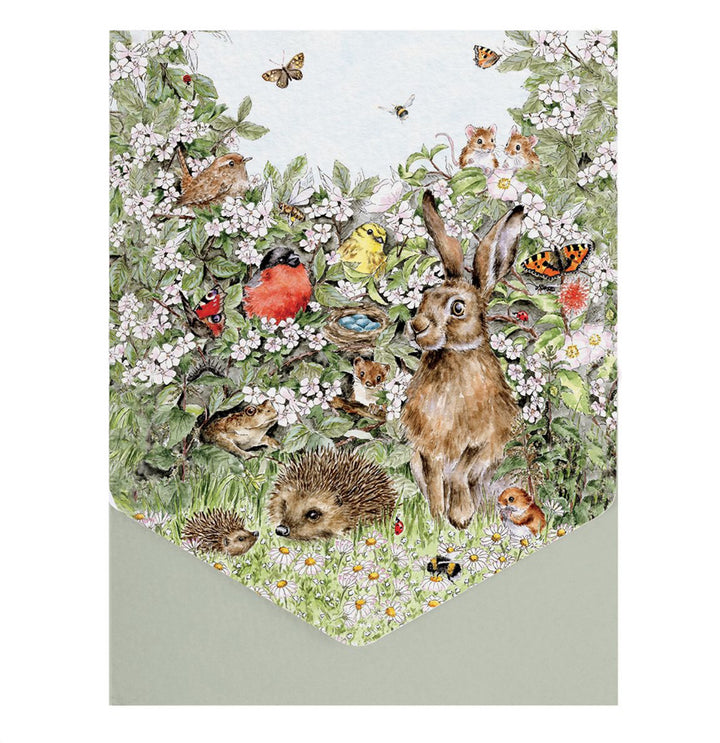 Boxed Greeting Cards