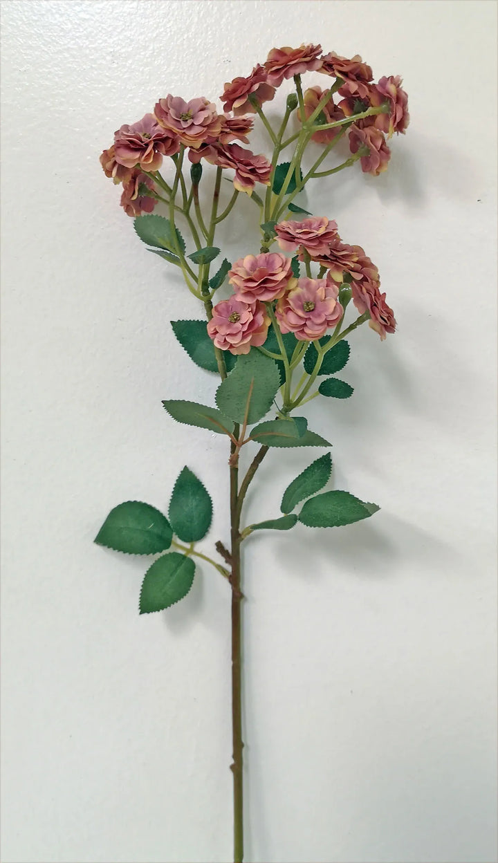 Garden Rose Stems