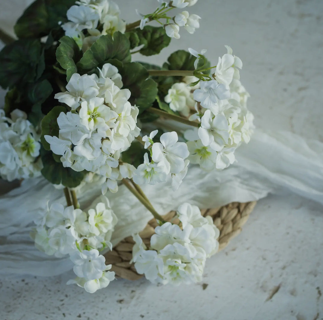 Classic White Geranium Bush – 19.5”