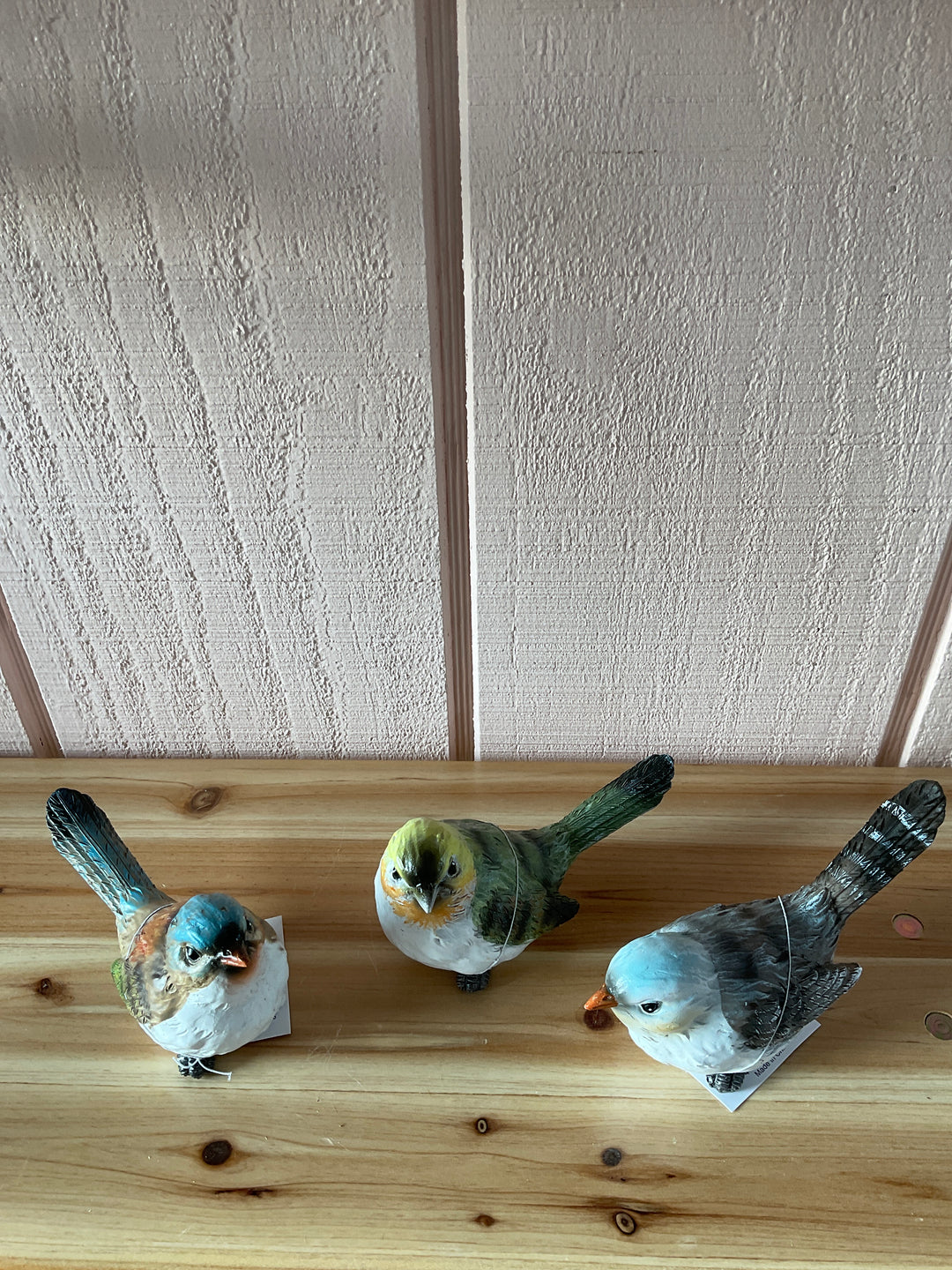 Colorful Yard Birds