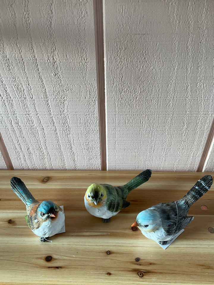 Colorful Yard Birds