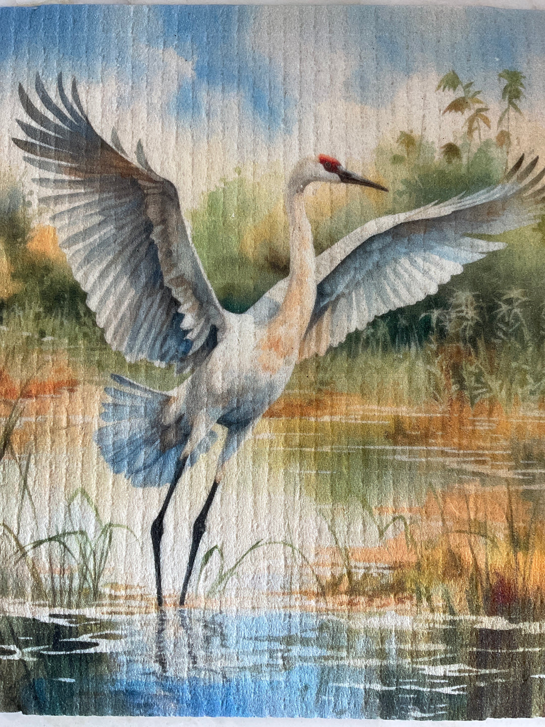 Eco-Friendly Dishcloth