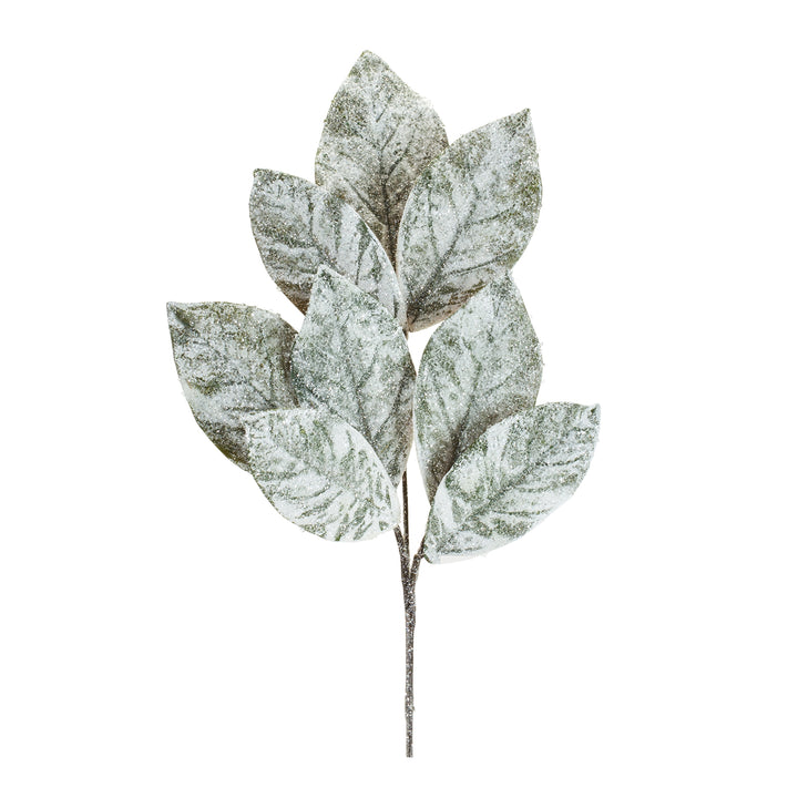 Frosted Magnolia Leaf Stem – 32.5”