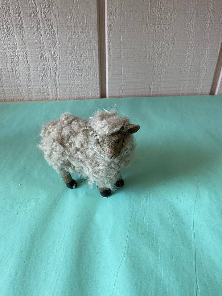 Sheep