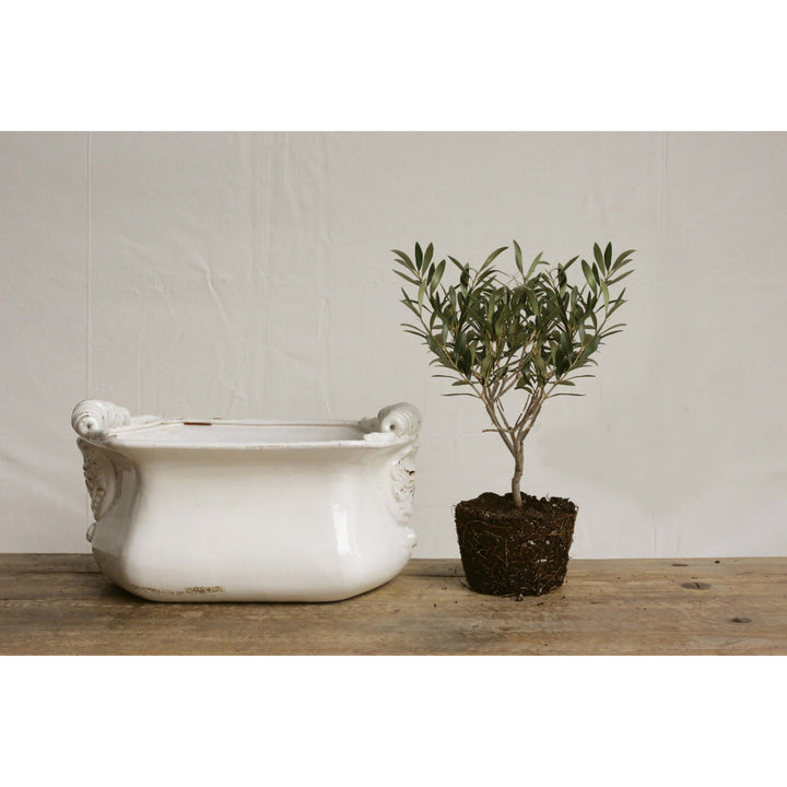 Crackle Glaze Cachepot