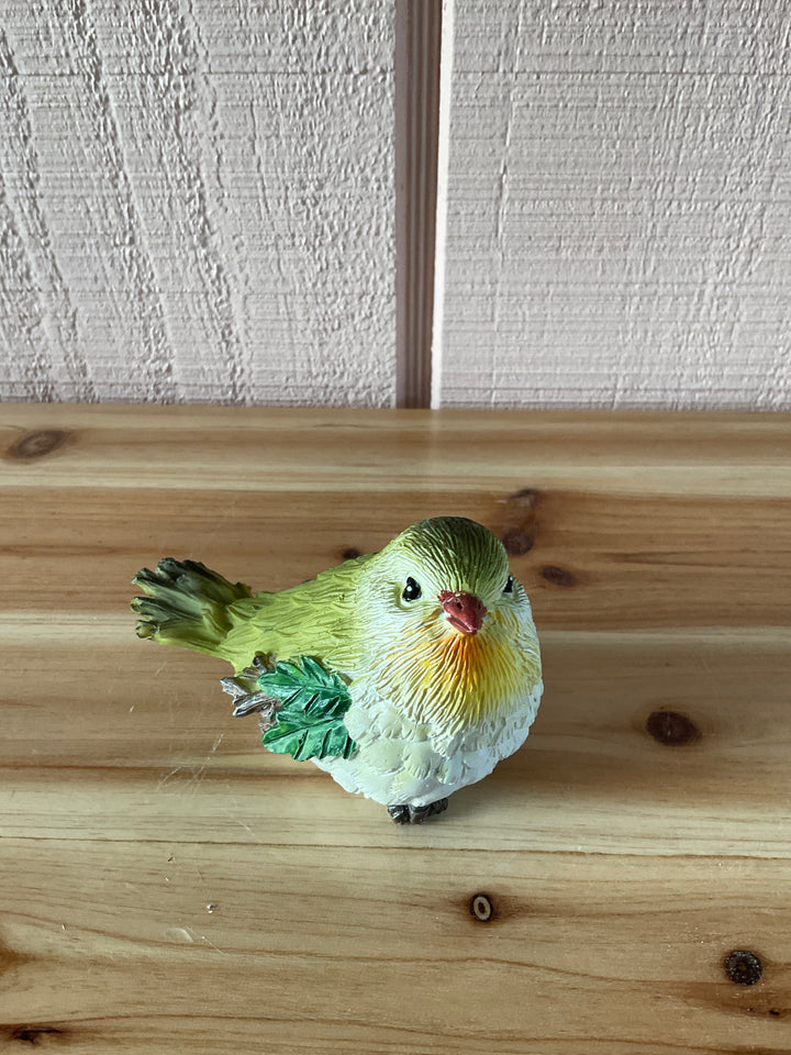 Colorful Feathered Birds