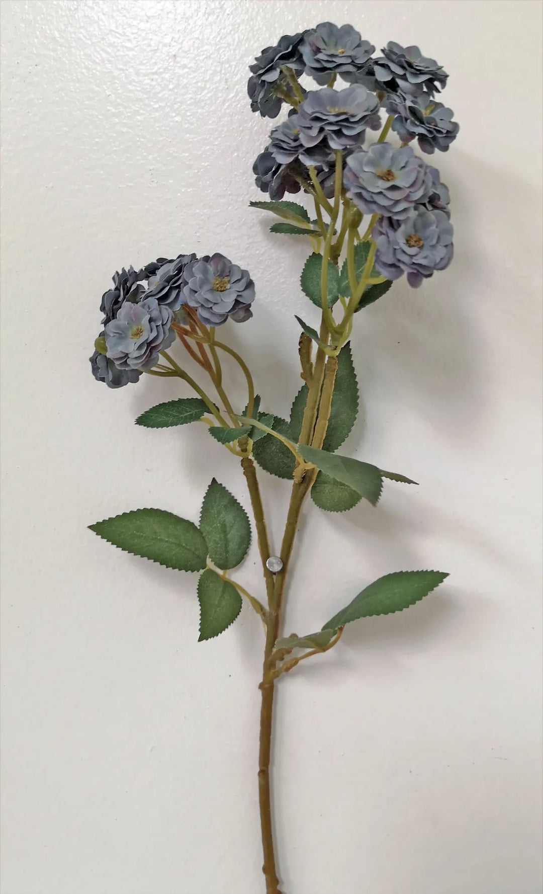 Garden Rose Stems