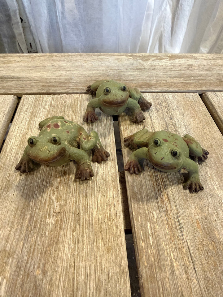Rustic Garden Frog