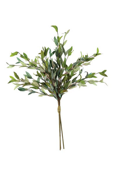 Botanical