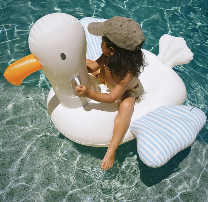 Ride On Seagull Float