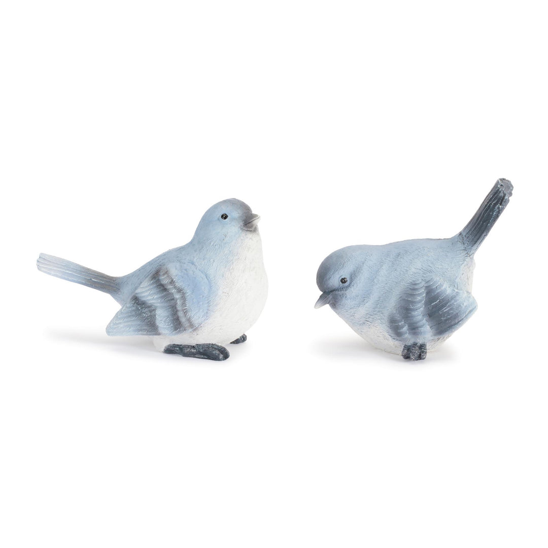 Serenity Bluebird