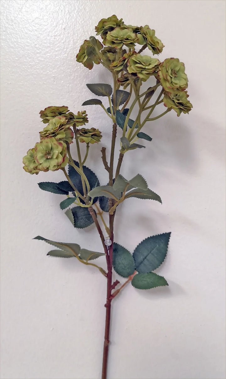 Garden Rose Stems