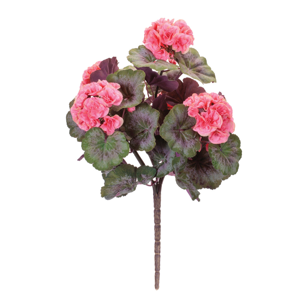 Blushing Garden Geranium Bush