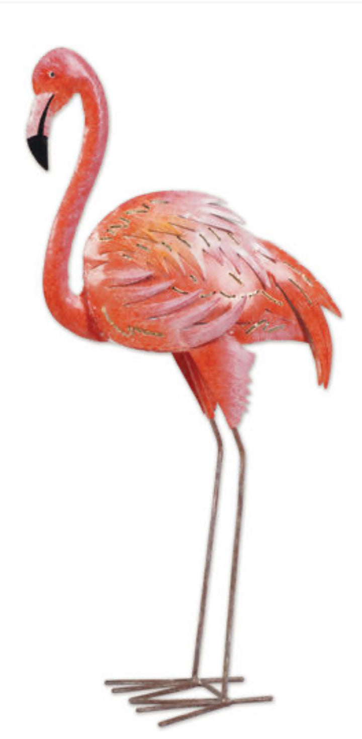 Flamingo D,Cor