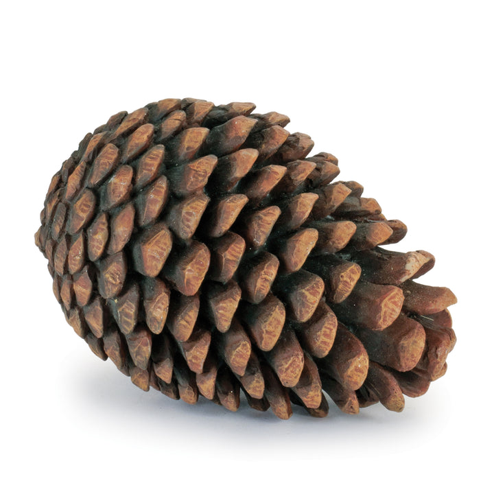 Woodland Charm Decorative Pine Cones