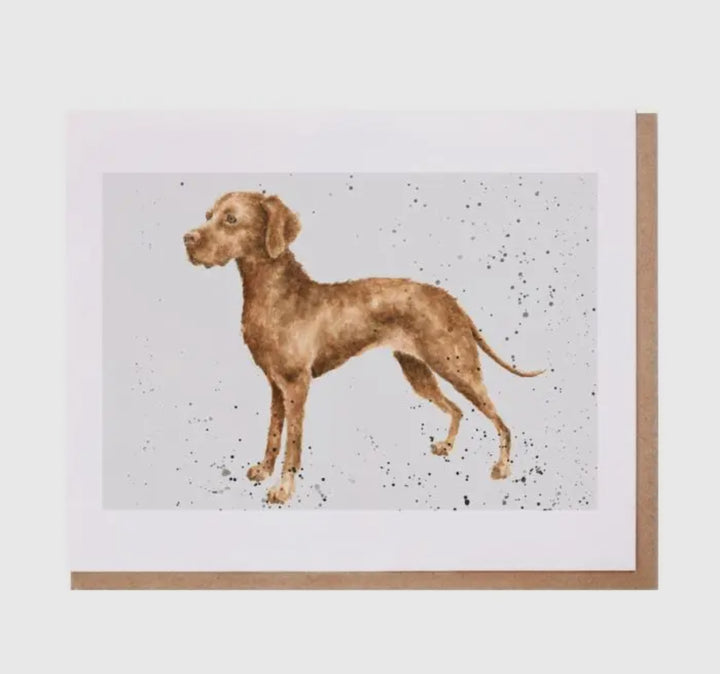Greeting Cards - 5x7