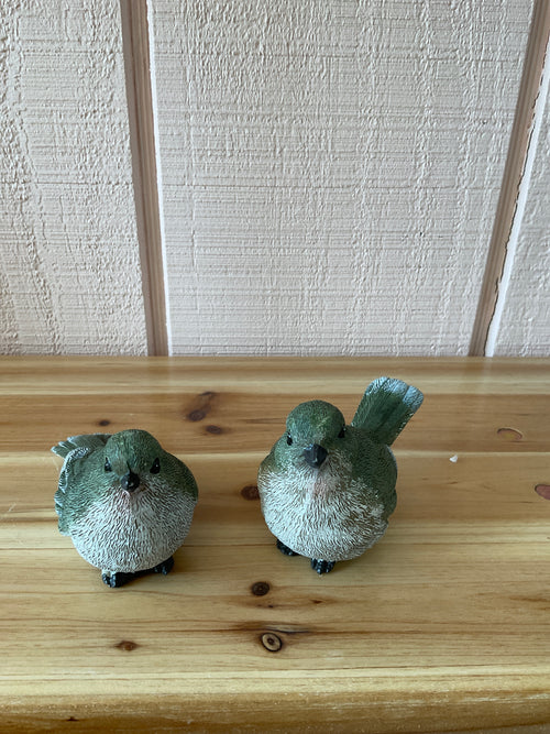 Birds