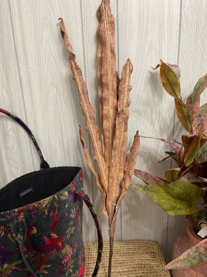 Dried Copper Magnolia Leaf Stem