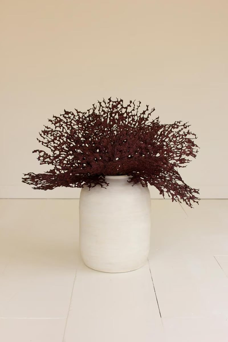 Bronze Coral Fan Spray