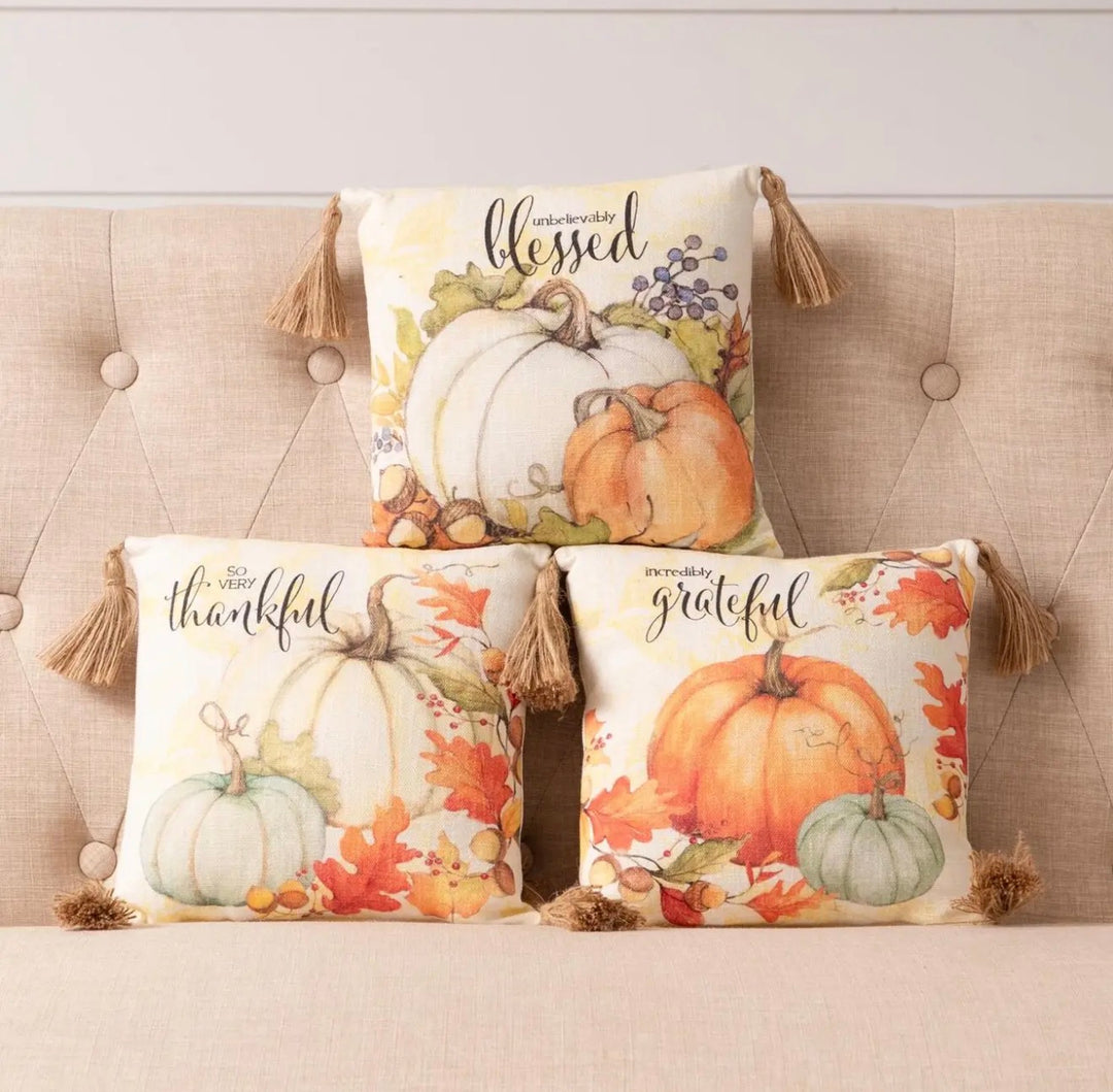 Thankful & Blessed Mini Pillows