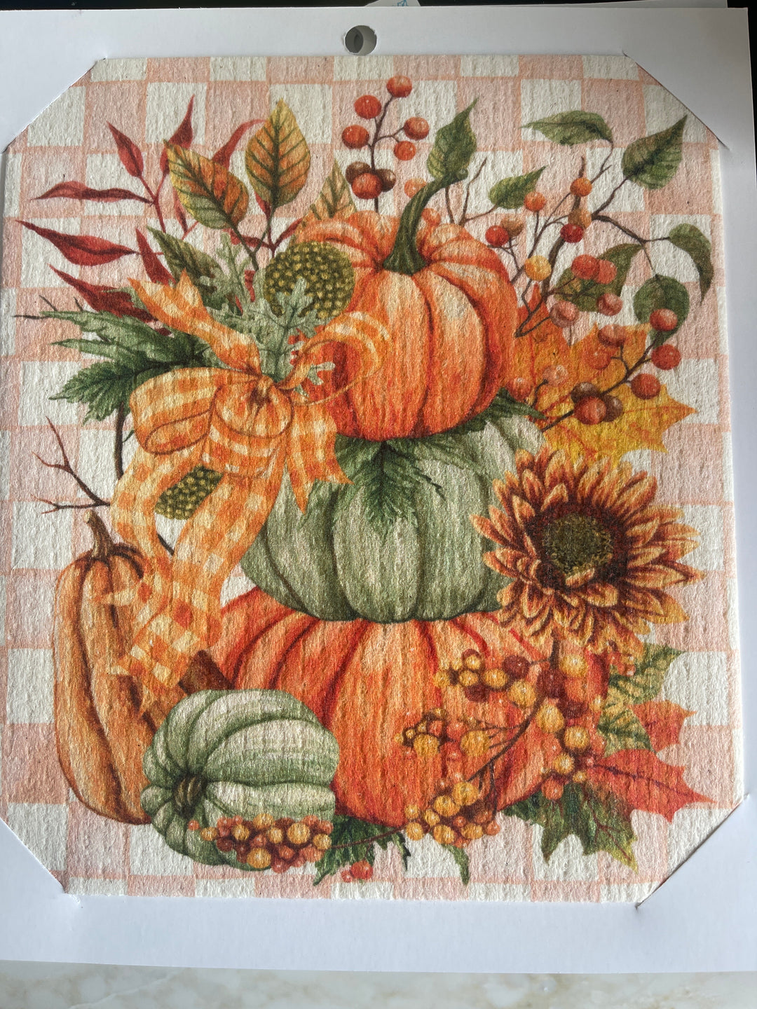 Eco-Friendly Dishcloth