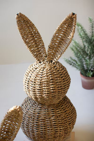 The Willow Bunny