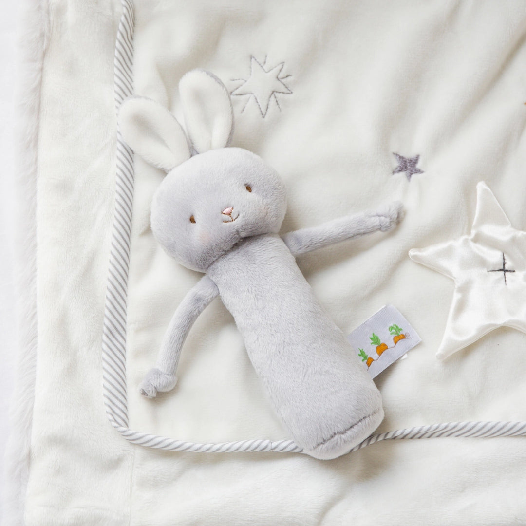 Friendly Chime Bunny Rattle