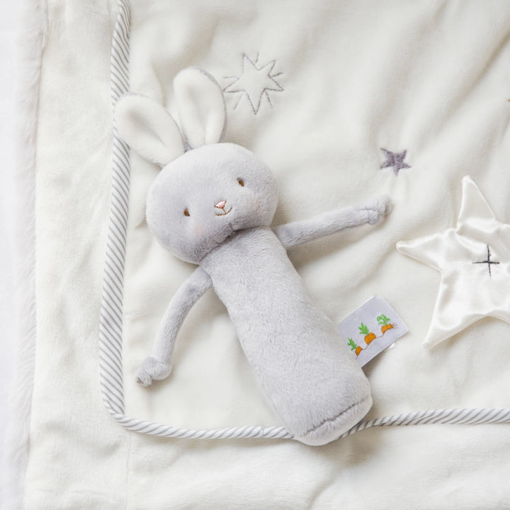 Friendly Chime Bunny Rattle