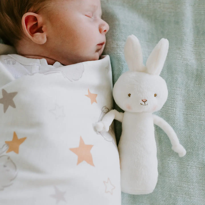 Friendly Chime Bunny Rattle