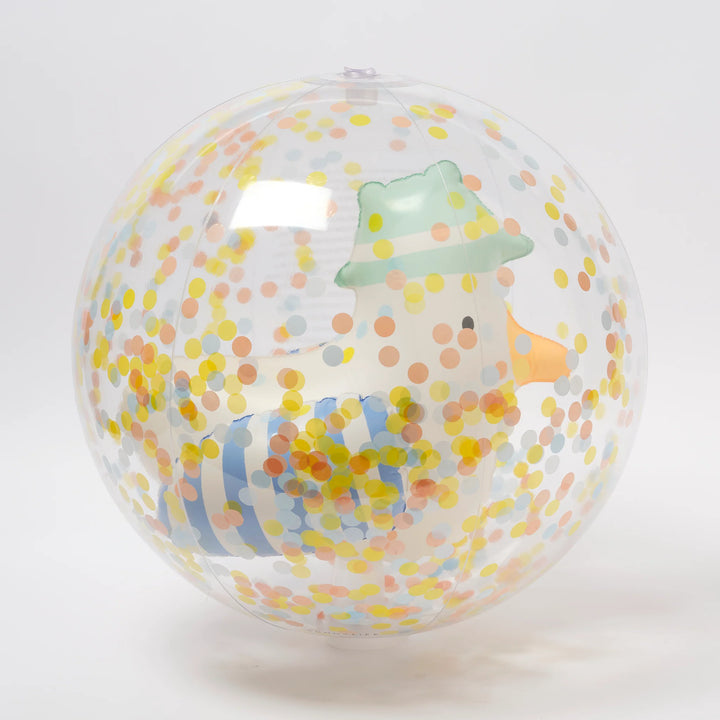 Seagull Beach Ball
