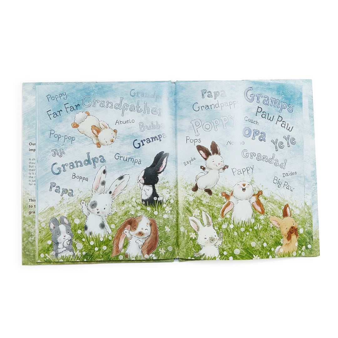 What Will My Grandchild Call Me? Book