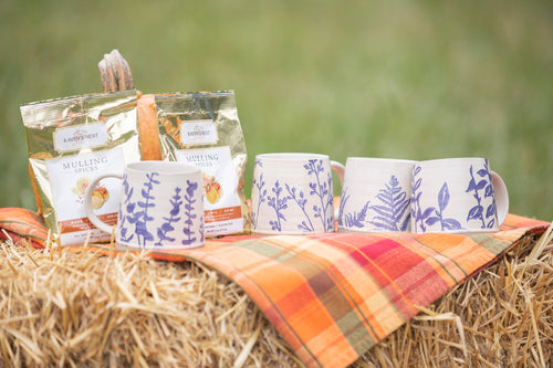 Stoneware Mugs