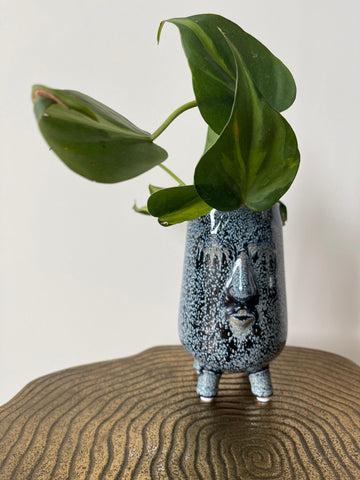 Blue Face Planter