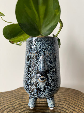 Blue Face Planter