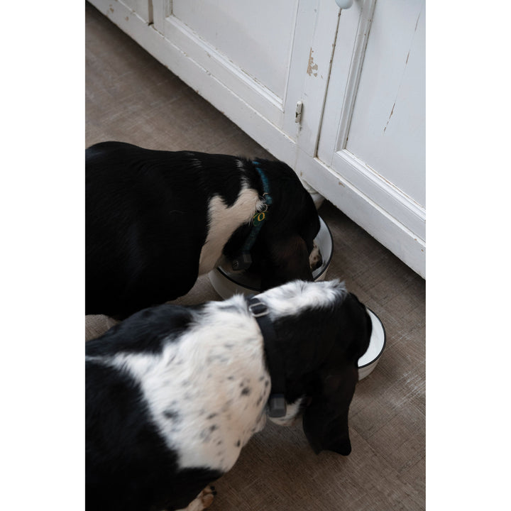 Pet Bowls - white & black