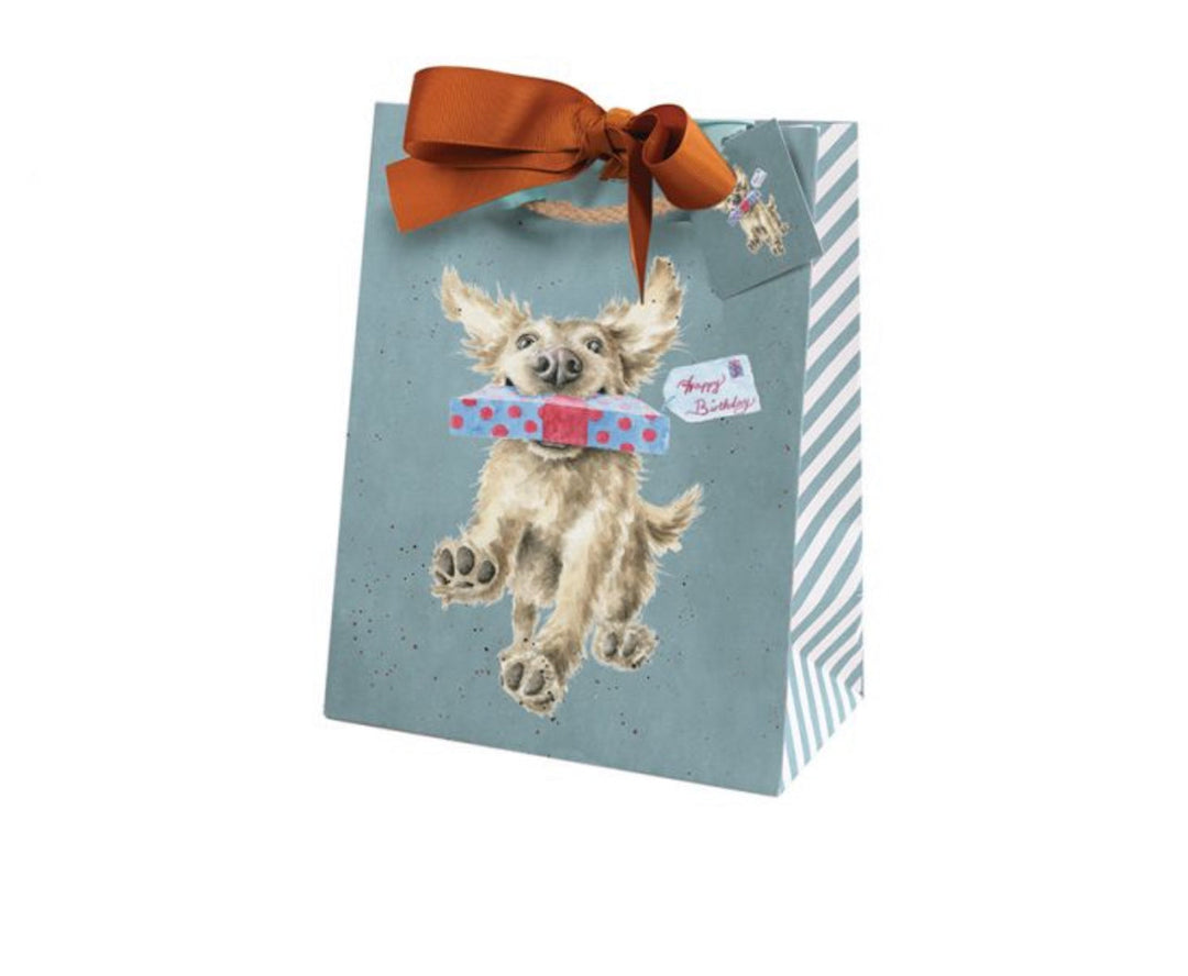 Special Delivery Gift Bag