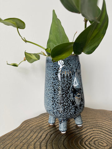 Blue Face Planter