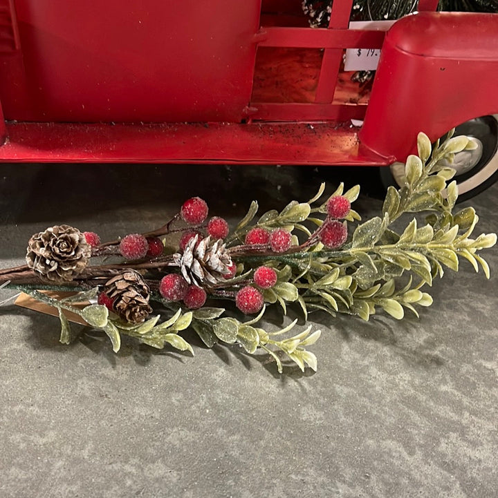 Pinecone & Berry Pick