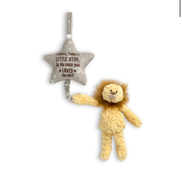 Musical Pull Toy - Lion